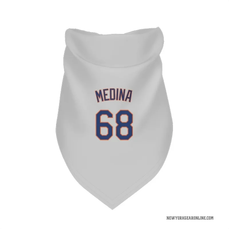 Adonis Medina  Gray New York Mets  Cat & Dog Pet Bandana