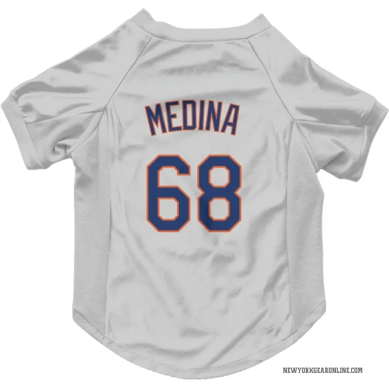 Adonis Medina  Gray New York Mets  Cat & Dog Pet Jersey