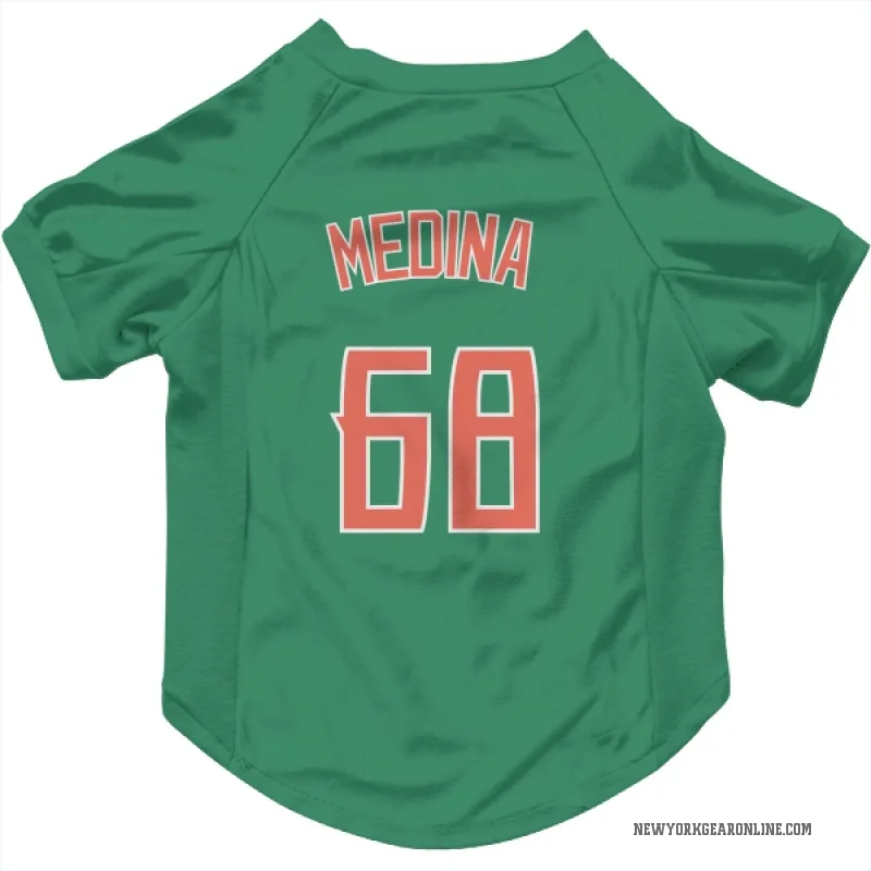 Adonis Medina  Green New York Mets  Cat & Dog Pet Jersey