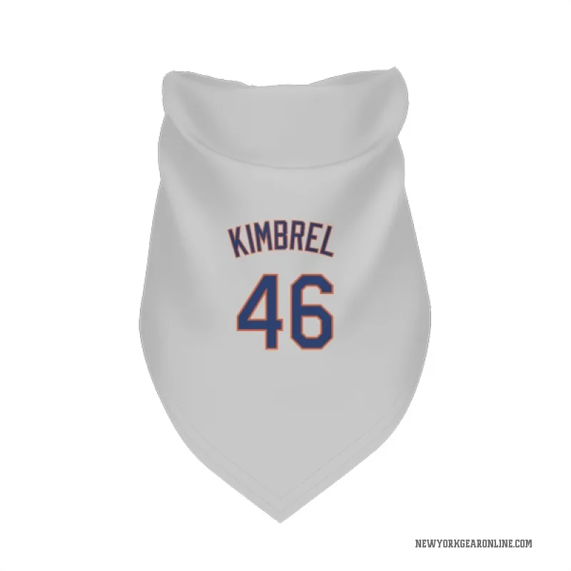 Craig Kimbrel  Gray New York Mets  Cat & Dog Pet Bandana