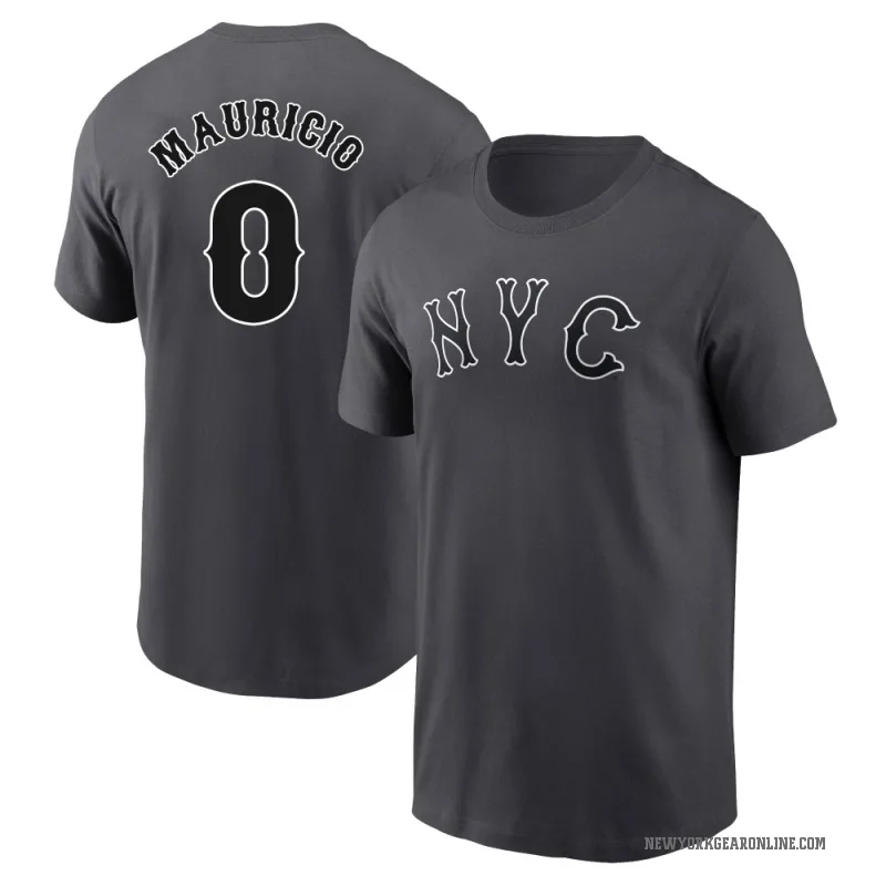 Ronny Mauricio Youth New York Mets Graphite 2024 City Connect Fuse T-Shirt